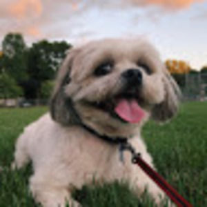 Meet your Posher, Noa